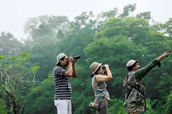 Bird Watchiing in Kerala